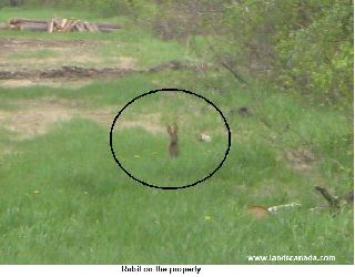  Terre de 104 acres,  Paradis de Chasse