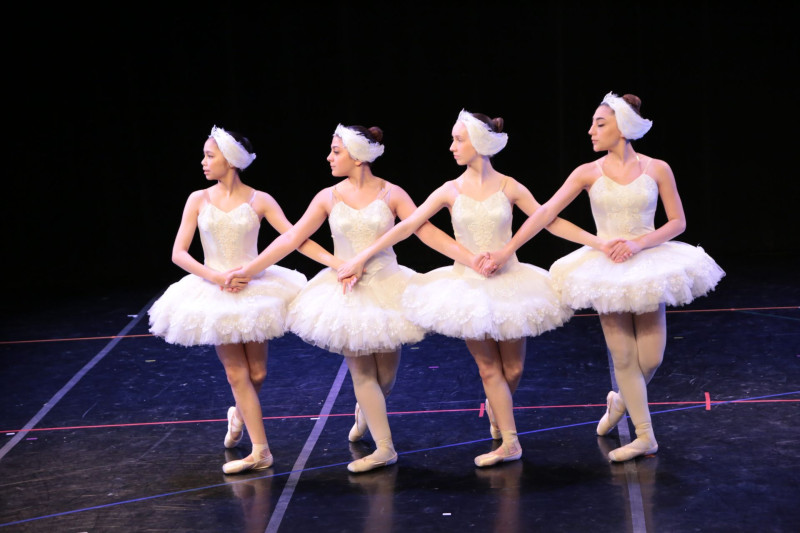 Cours de danse pour les enfants (4-cignesdemi5e) Cours de danse pour les enfants