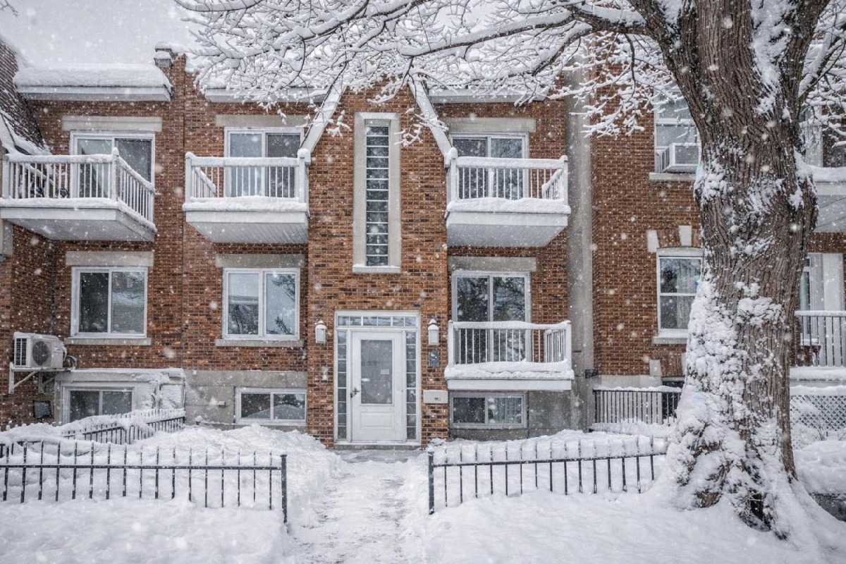 Condo entièrement rénové avec 3 terrasses ! Petite-Patrie (1) Condo entièrement rénové avec 3 terrasses ! Petite-Patrie