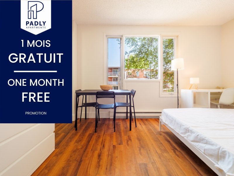 Studio & 1 Ch. Meublé et Rénové dès 920$ | Tout Inclus! (01) Studio & 1 Ch. Meublé et Rénové dès 920$ | Tout Inclus!