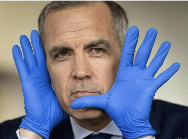 Mark Carney célèbre la fêtes des patriotes par l'affront direct à l'histoire du Québec (mark_carney_gants_bleus) Mark Carney célèbre la fêtes des patriotes par l'affront direct à l'histoire du Québec
